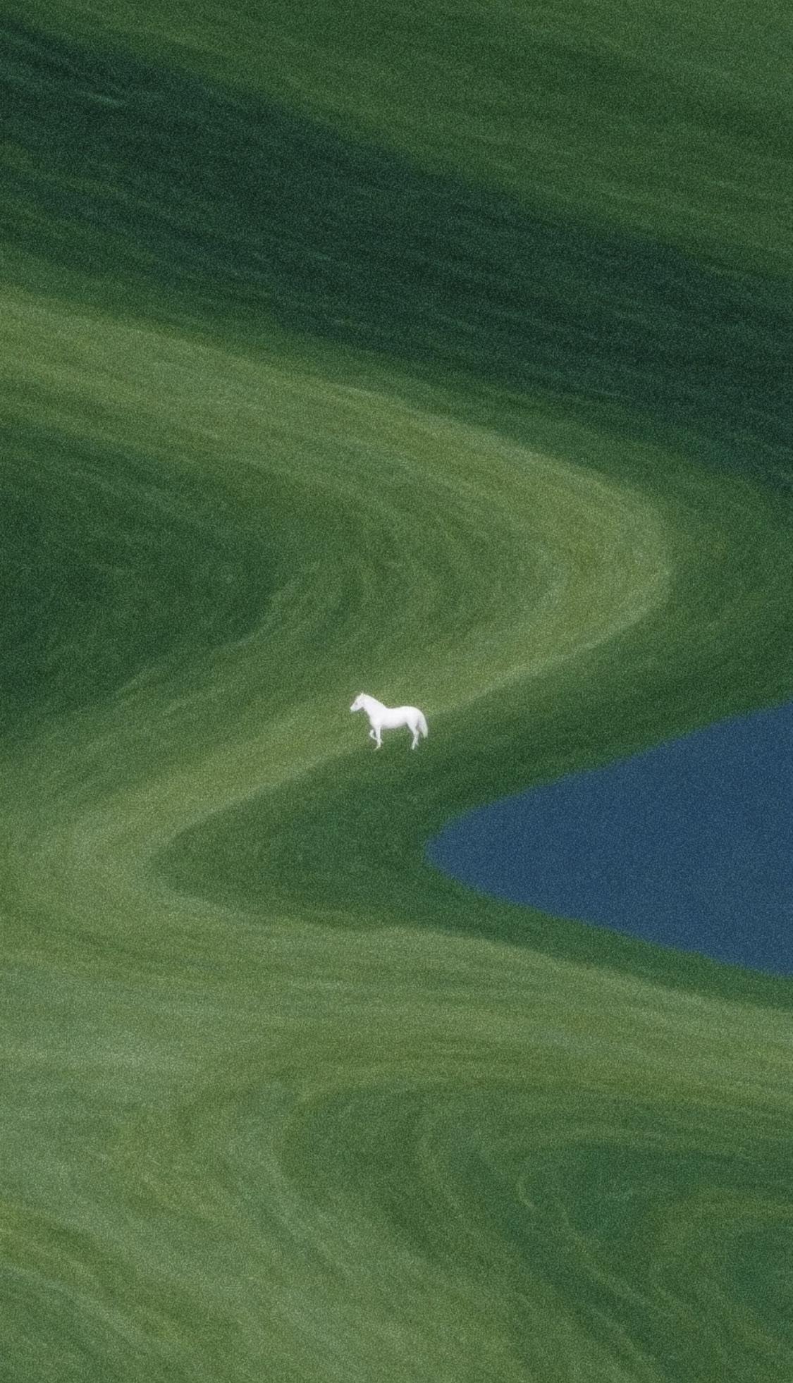 人一定要大量读书！

我发现长期读书的人都有一个共性；

贾平凹：

“读书能让