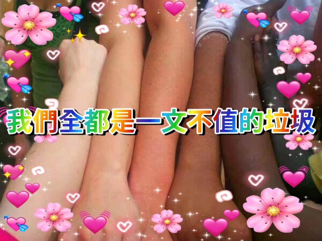 对meme ​​​