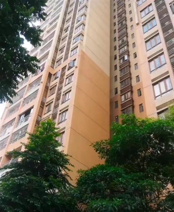 手机丢失20多天，广州女子凭一招跨城60公里寻回！网友：学到了现在每个人都离不开