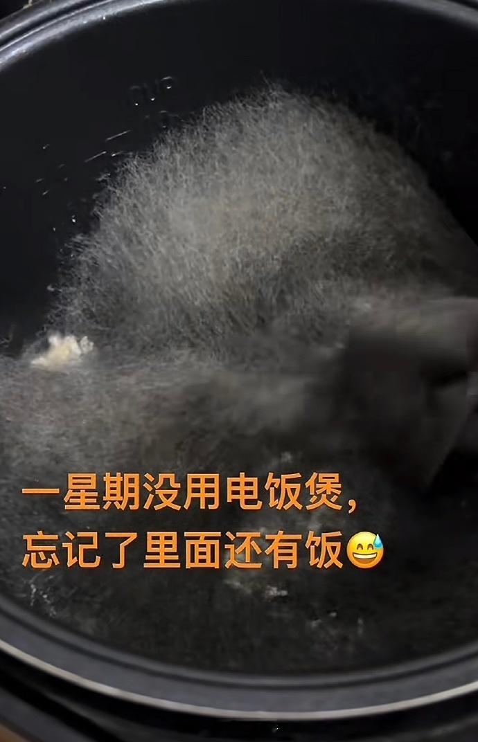 我嘞个太上老菌,先天实验圣体 ​​​! ​​​