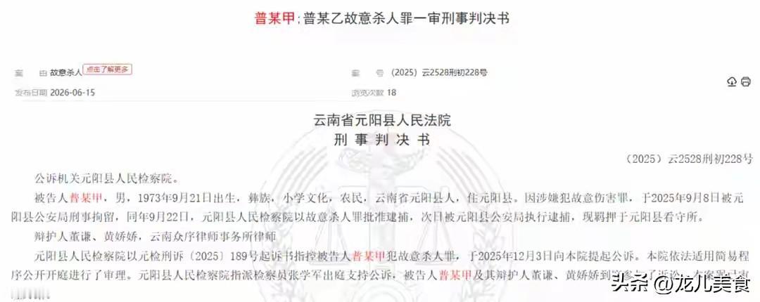儿子嫌饭菜难吃扬言杀全家，父亲积怨爆发朝其头部连砍数刀，法院：判处父亲有期徒刑两