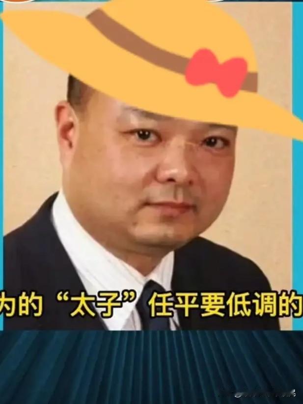 不拼“太子位”的低调富二代
 
提起任正非家人，大家先想到孟晚舟，却很少有人关注