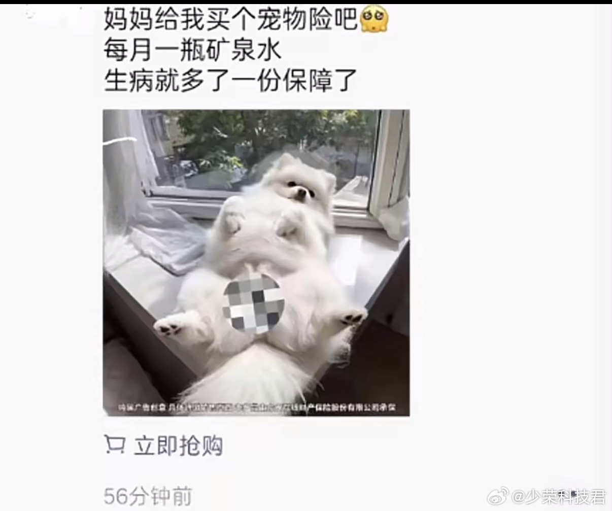 宠物险广告把女性私处P图狗身上给宠物买宠物险的用户大部分都是女性，又想赚钱又想恶