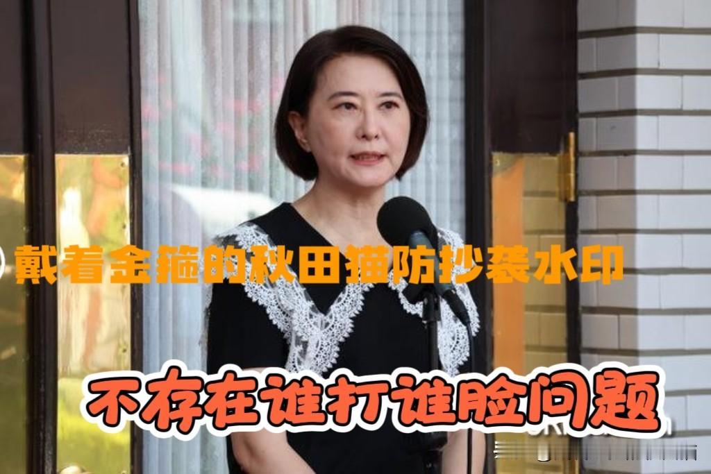 蒋万安提议废除“监察机构”，郑丽文务实看待、不做首选，蓝营内部看法其实并无冲突～