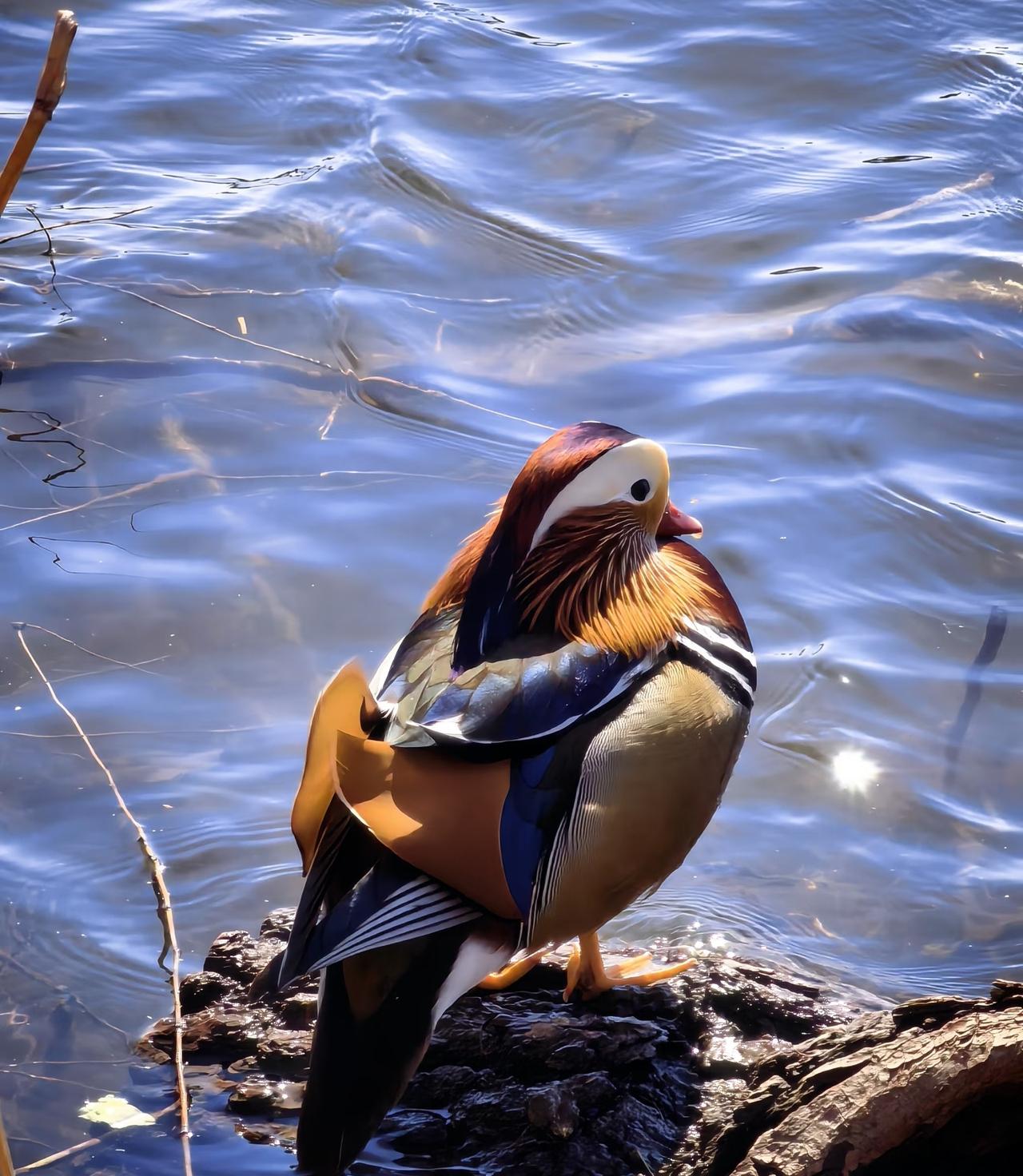 极度自卑的人该怎么相处？