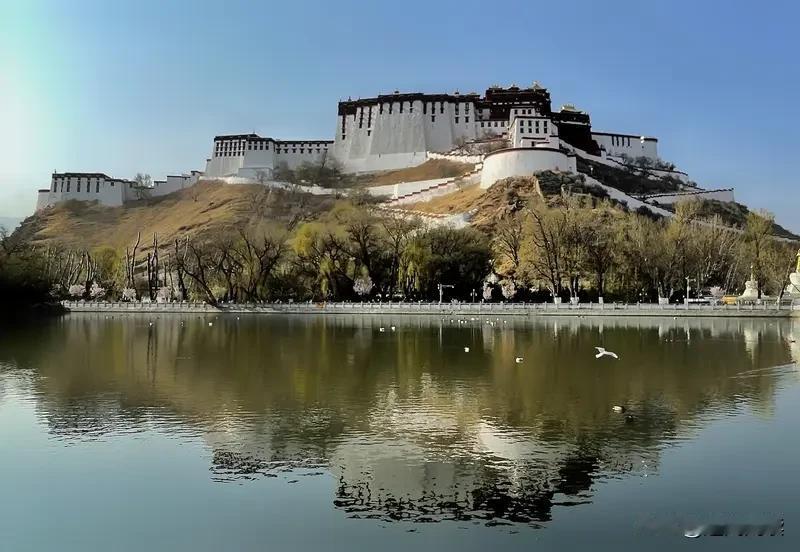 西藏文旅搞大动作啦：发视频点赞达标马上给钱，最高奖励50万！
西藏文旅这回可真是