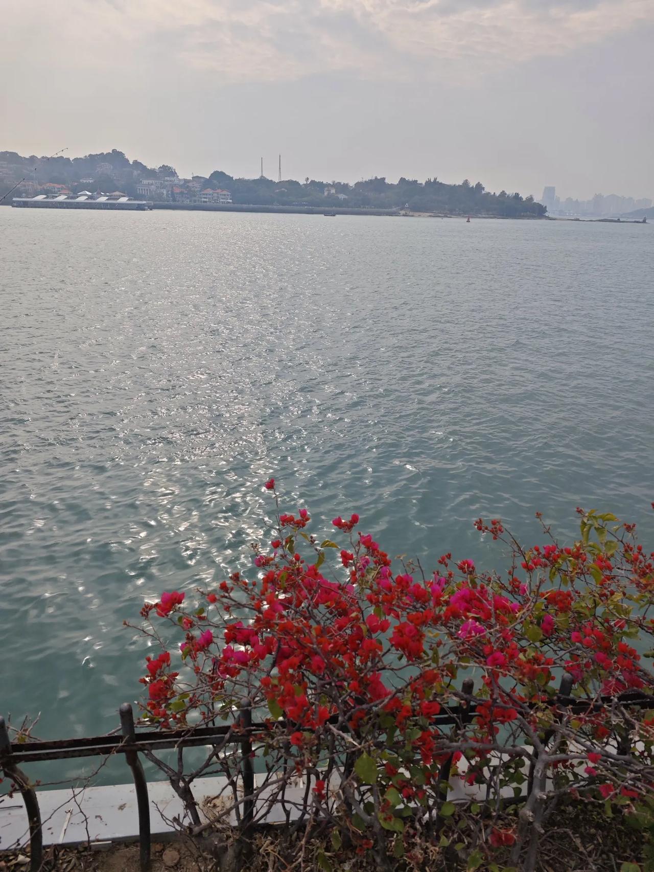 喜欢海
不管是波涛汹涌的海
还是水平如镜的海
海边的风轻轻柔柔
吹皱了心事
每一