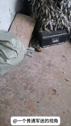 俄乌前线的地下掩体中，老鼠到处都是，已经是鼠满为患，这些老鼠也不怕人，天天和这些