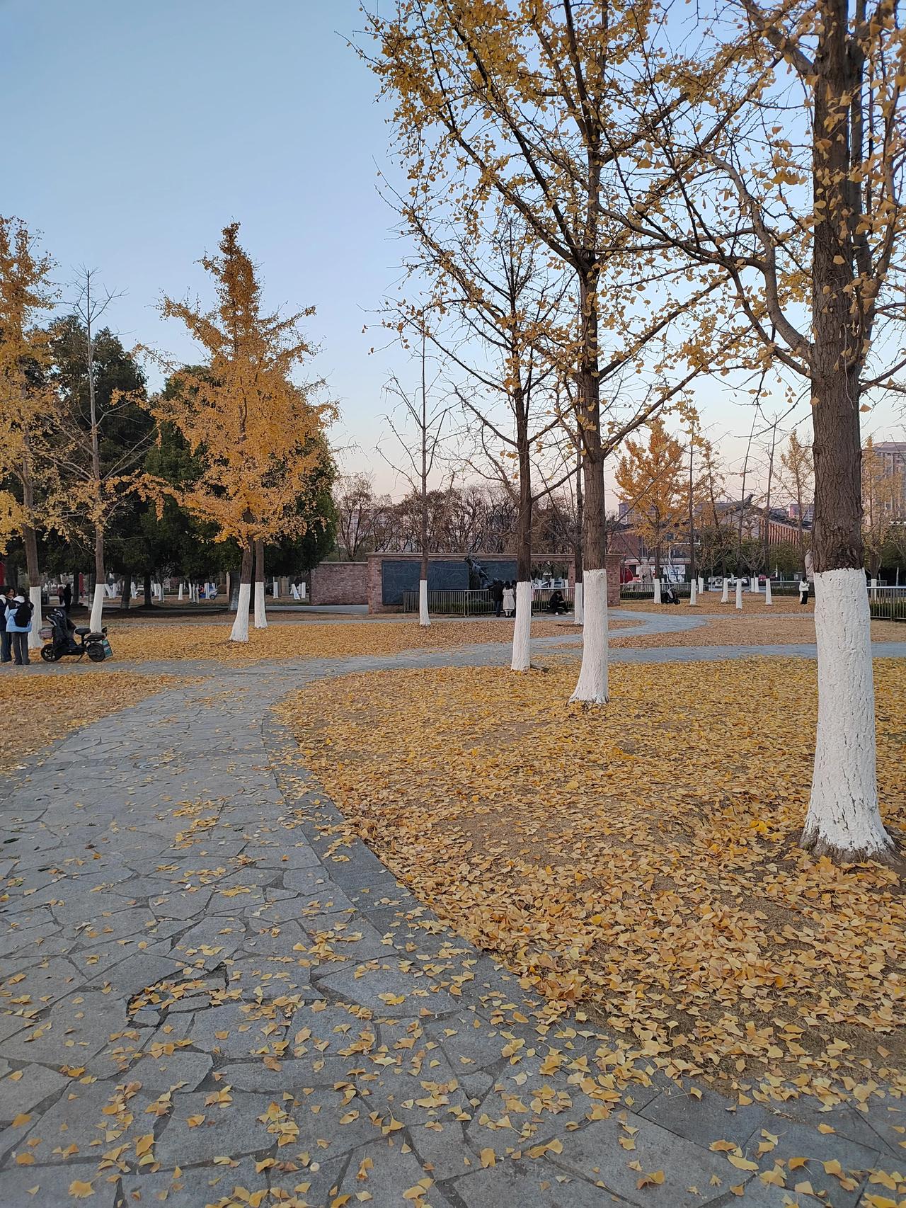 小区业主又要闹事了。
中午3个业主敲开了门，站在门口，我询问怎么了，发生什么事了