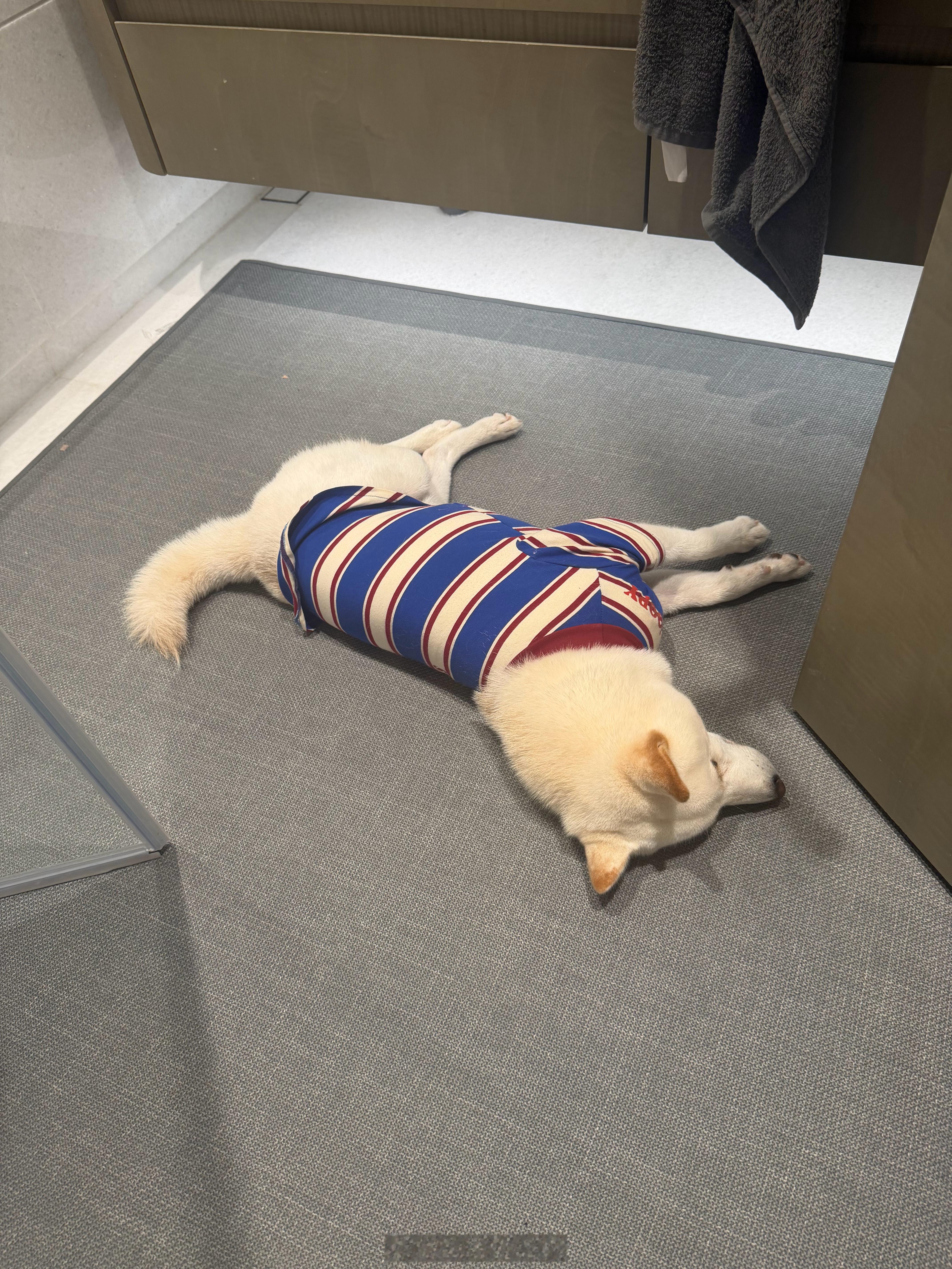 好累今天 ​​​