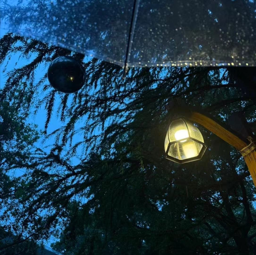红茶慕斯酒 🌨 𝒯𝒽ℯ 𝓀𝒾𝓈𝓈 ℴ𝒻 𝓉𝒽ℯ 𝒻𝒾𝓇