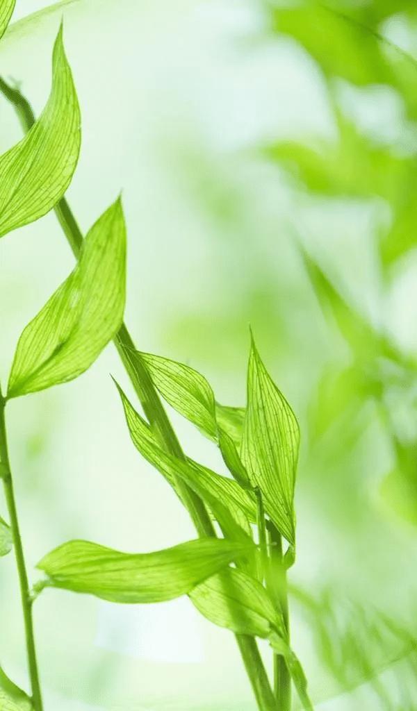 年龄不再是违法“护身符”！2026年新规专治各种“倚老卖老”“恃幼而骄”

谁能