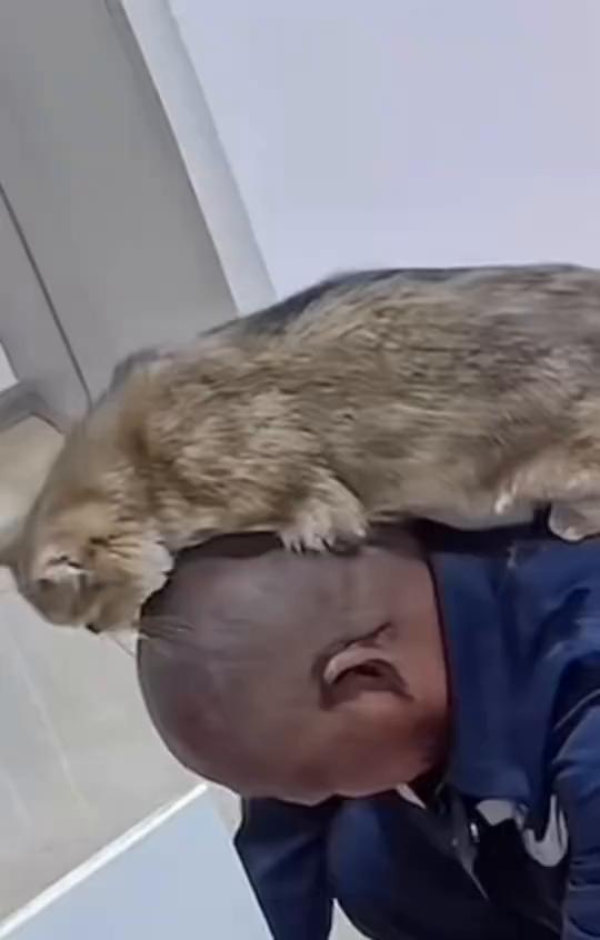 好香，真好吃。