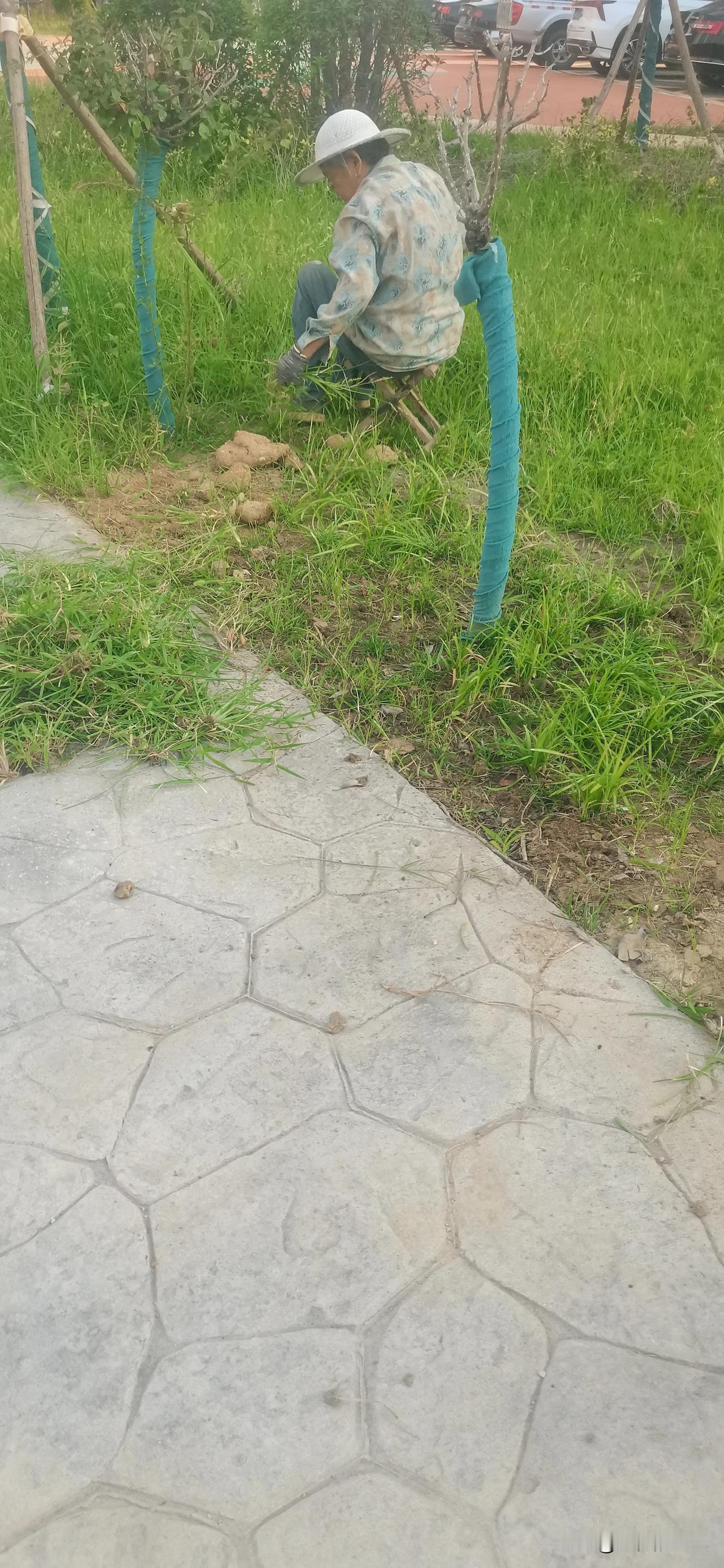 夏日生活打卡季