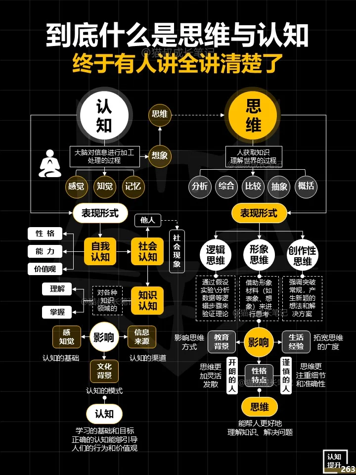 到底什么是思维与认知？详细拆解~