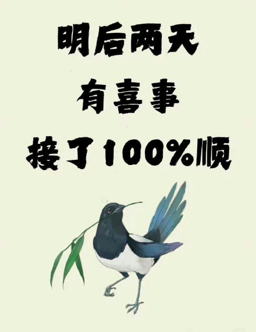 见喜鹊有喜事发生！秒接！运势