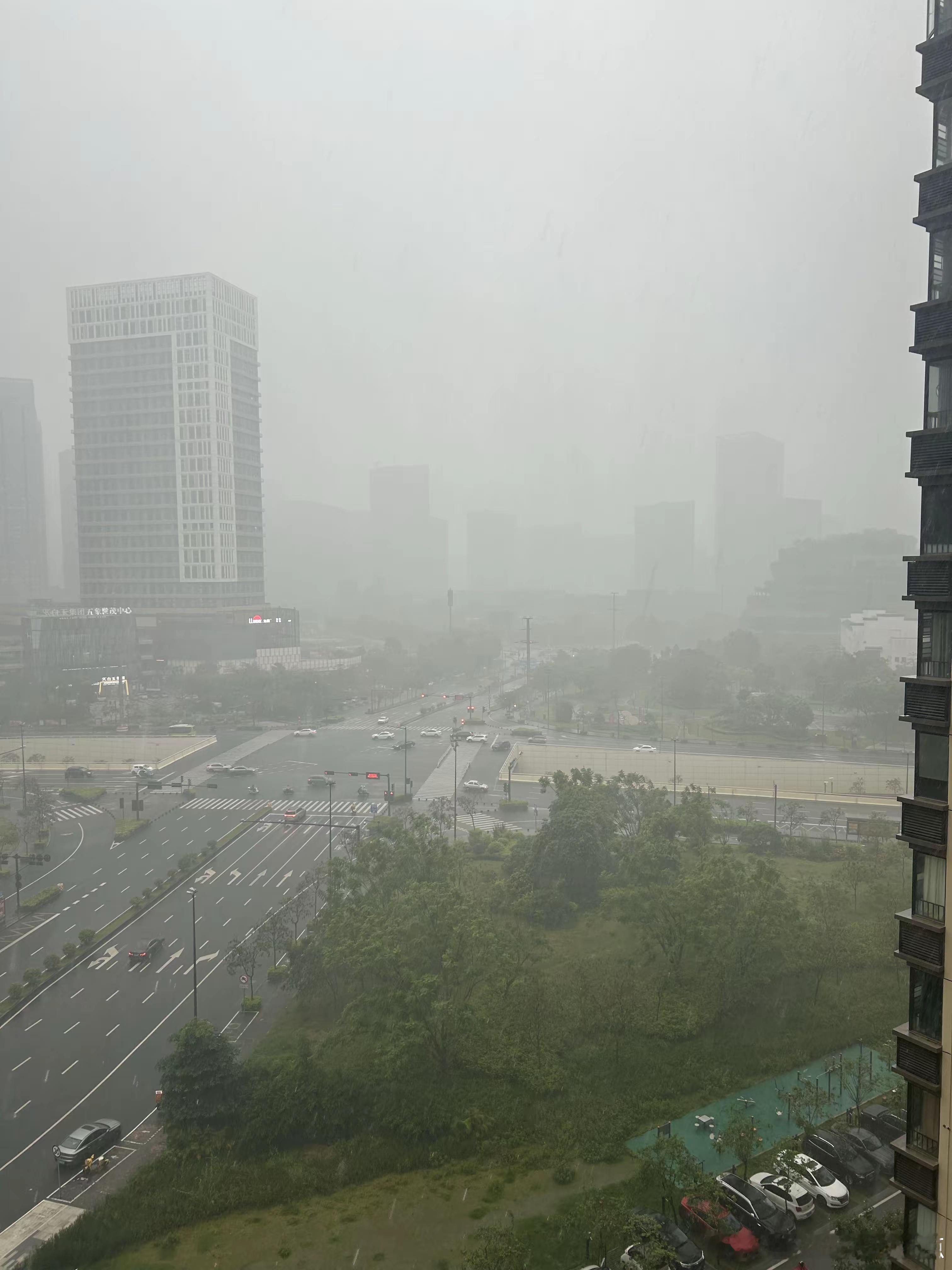 广西天气受10号台风“美莎克”长时间滞留影响，我区多地已出现超历史极值降雨，广西