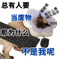 今天新学了一句话:废物整花活整花活：搞花哨操作、新奇招数，花样很多，但常常中看不