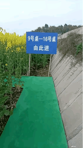 这想法不错 摆桌都摆到地里面了 