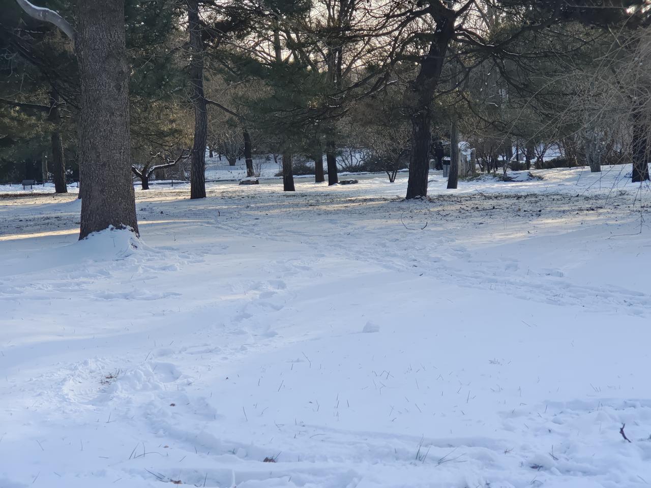北京大雪后，有东北的感觉，你们看是不是？