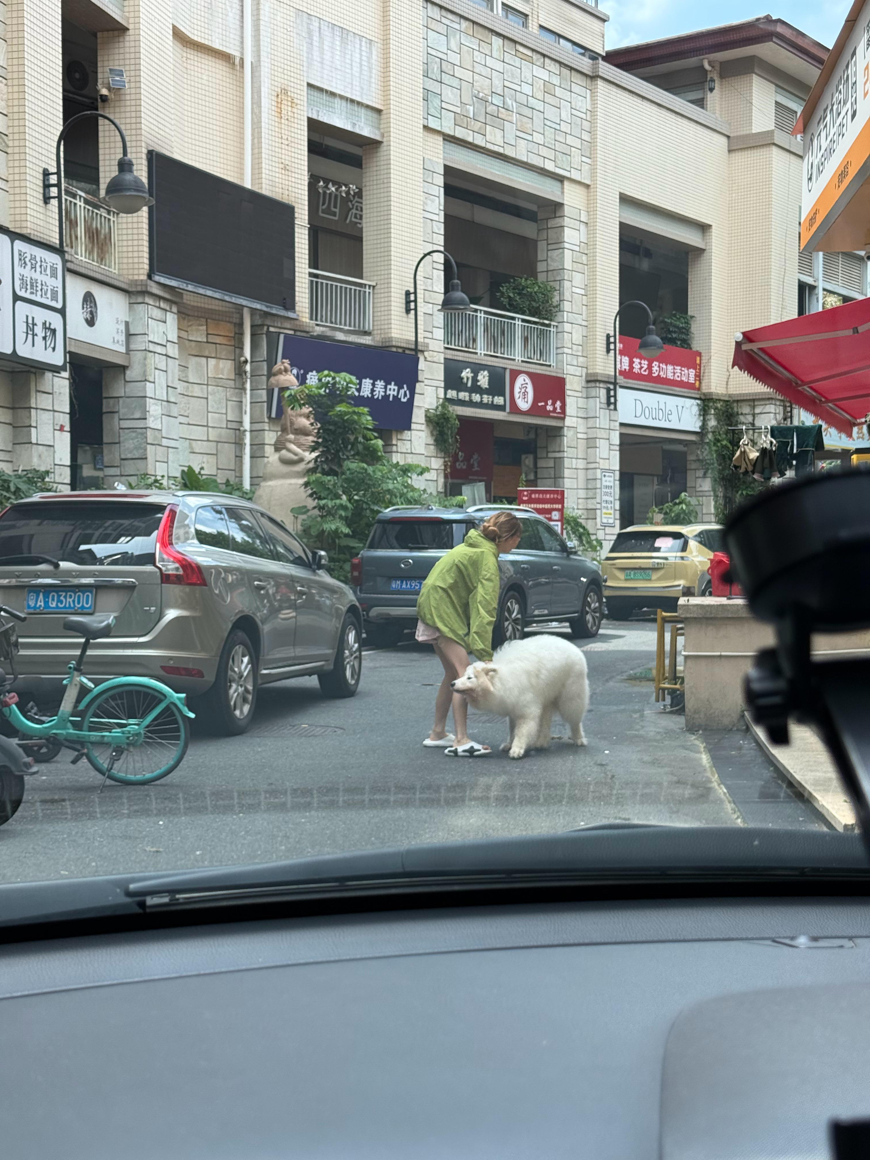 远看我以为是北极熊…… ​​​