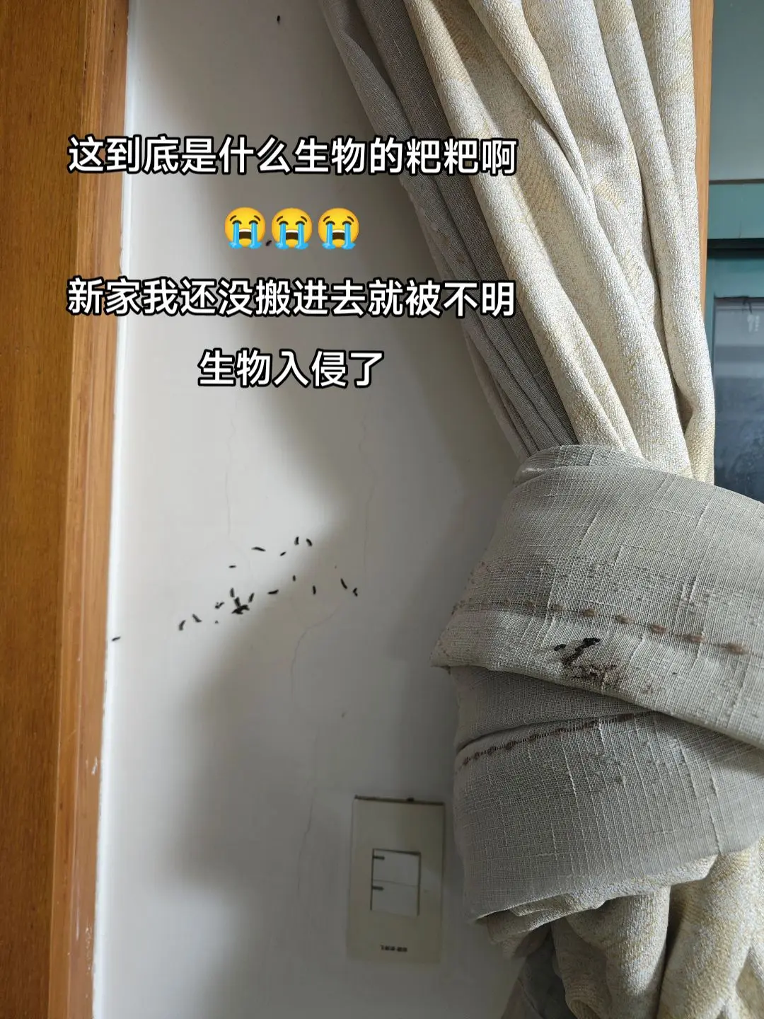 救命啊家人们😭这到底是什么生物的粑粑啊