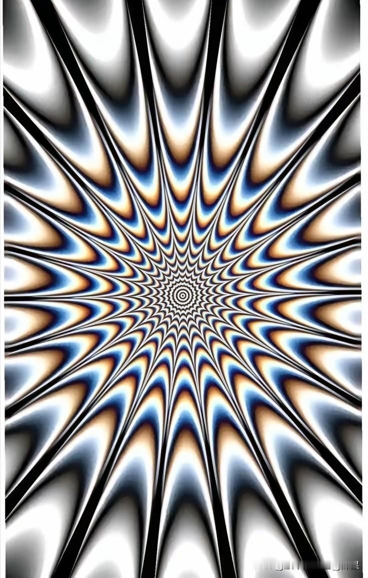 这张图有点晃眼，像漩涡一样。
耳听为虚，眼见为实！
但是眼见得不一定为实，
这张