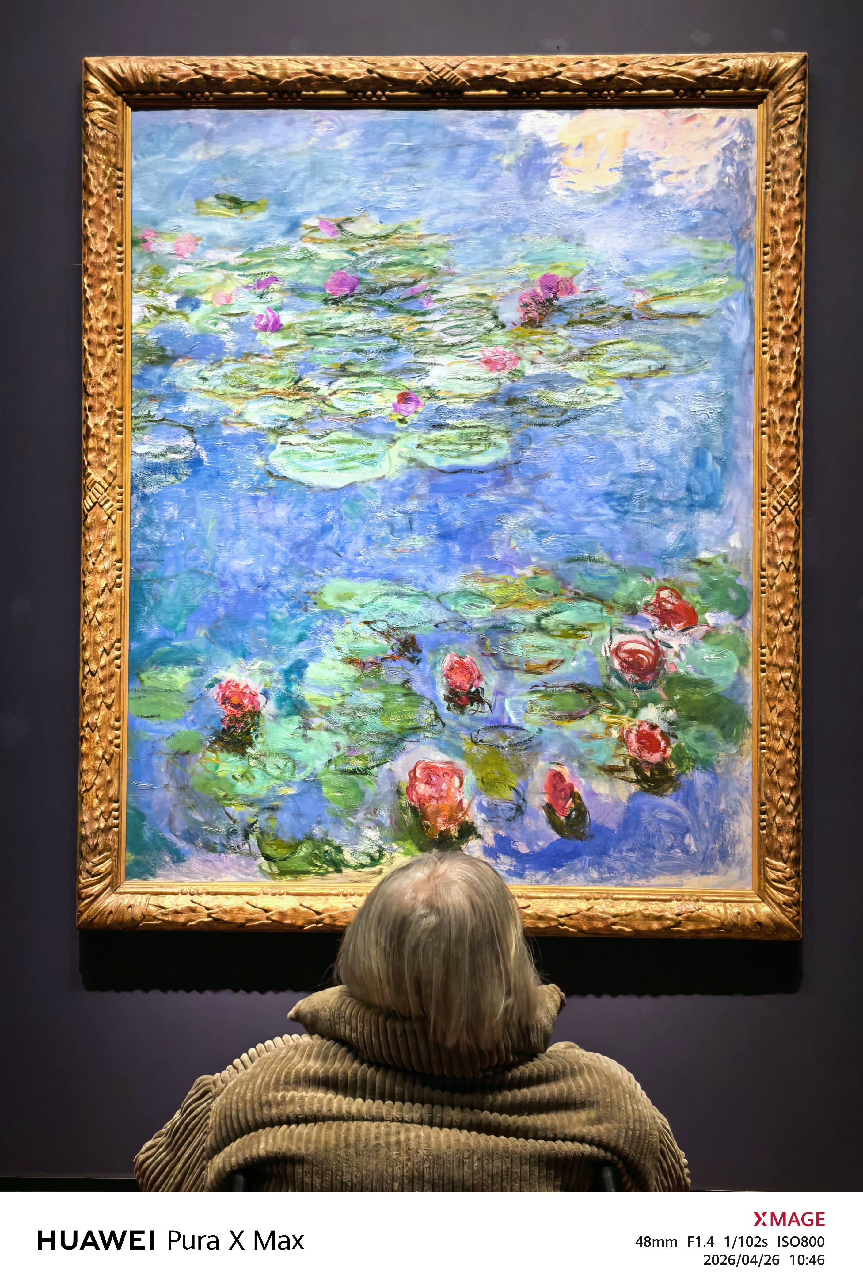 旧金山随手拍： 