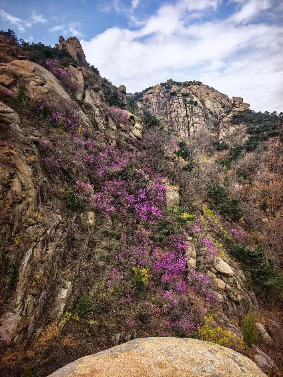 特没普下月来会否提及台湾的交换？台湾 如果没变化，说明我们还需努力来寻找和累积筹