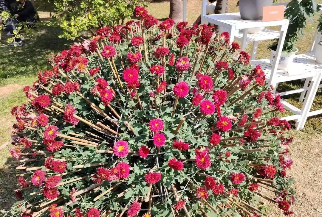 一位老爸把儿子10月2日的婚礼全程拍成日记，从接站到散席一步不落。
他提前给亲家