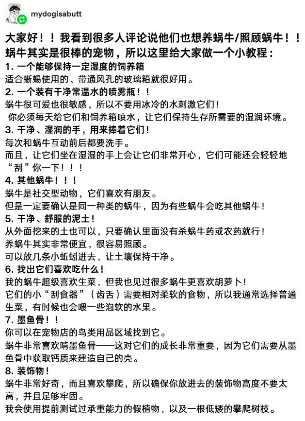 在互联网上你甚至可以发现海绵宝宝（误）分享养小蜗的经历：meme