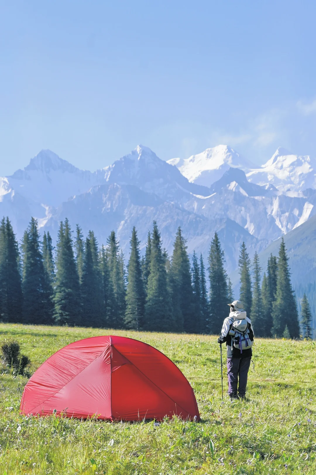进山徒步露营🏕️远离城市牛马，我又活过来了