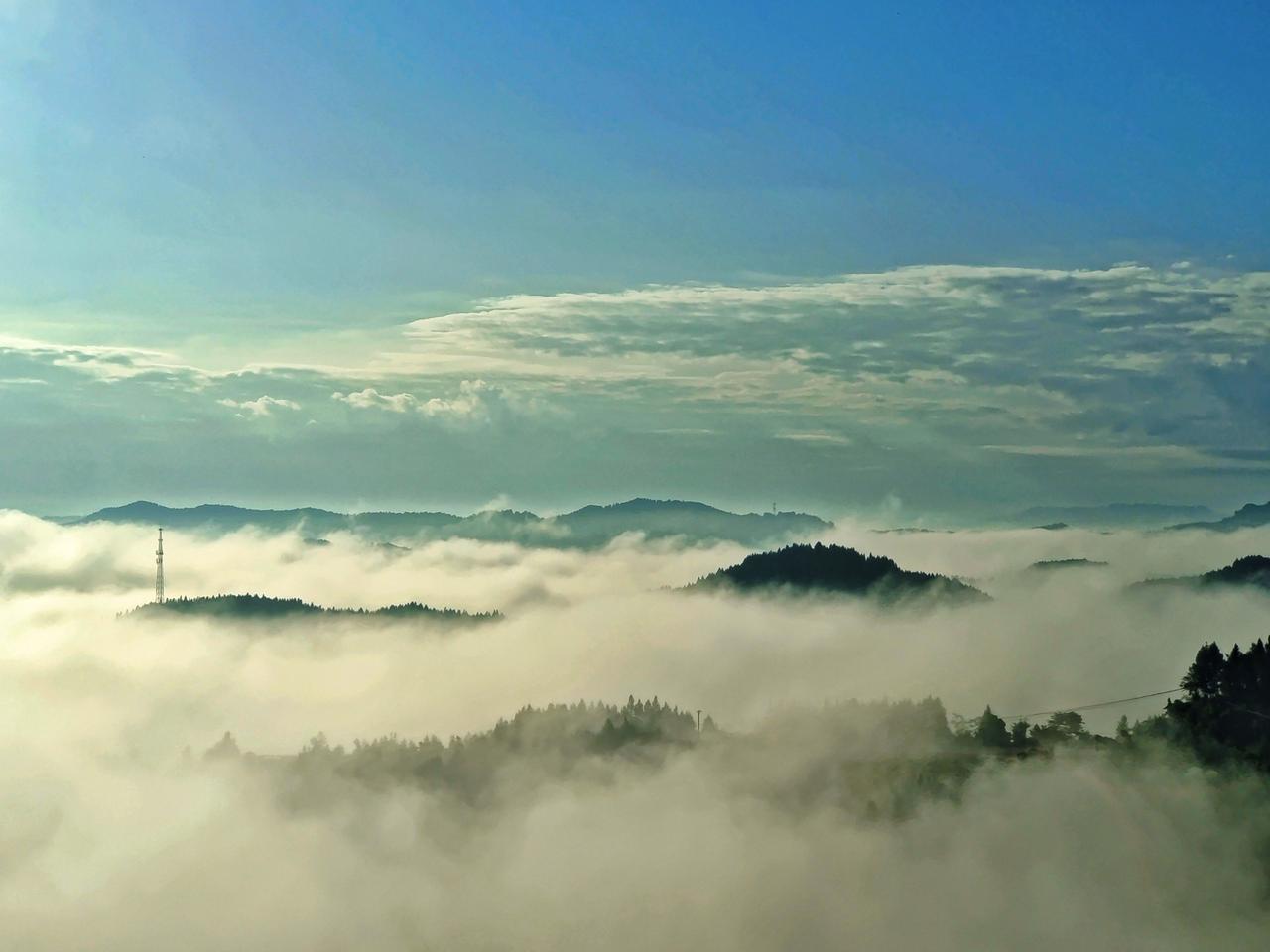 冬日生活打卡季