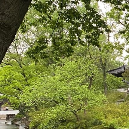 早安。今天的我，继续向阳而生。不抱怨、不气馁、不放弃，把每一个清晨都当作新的起点