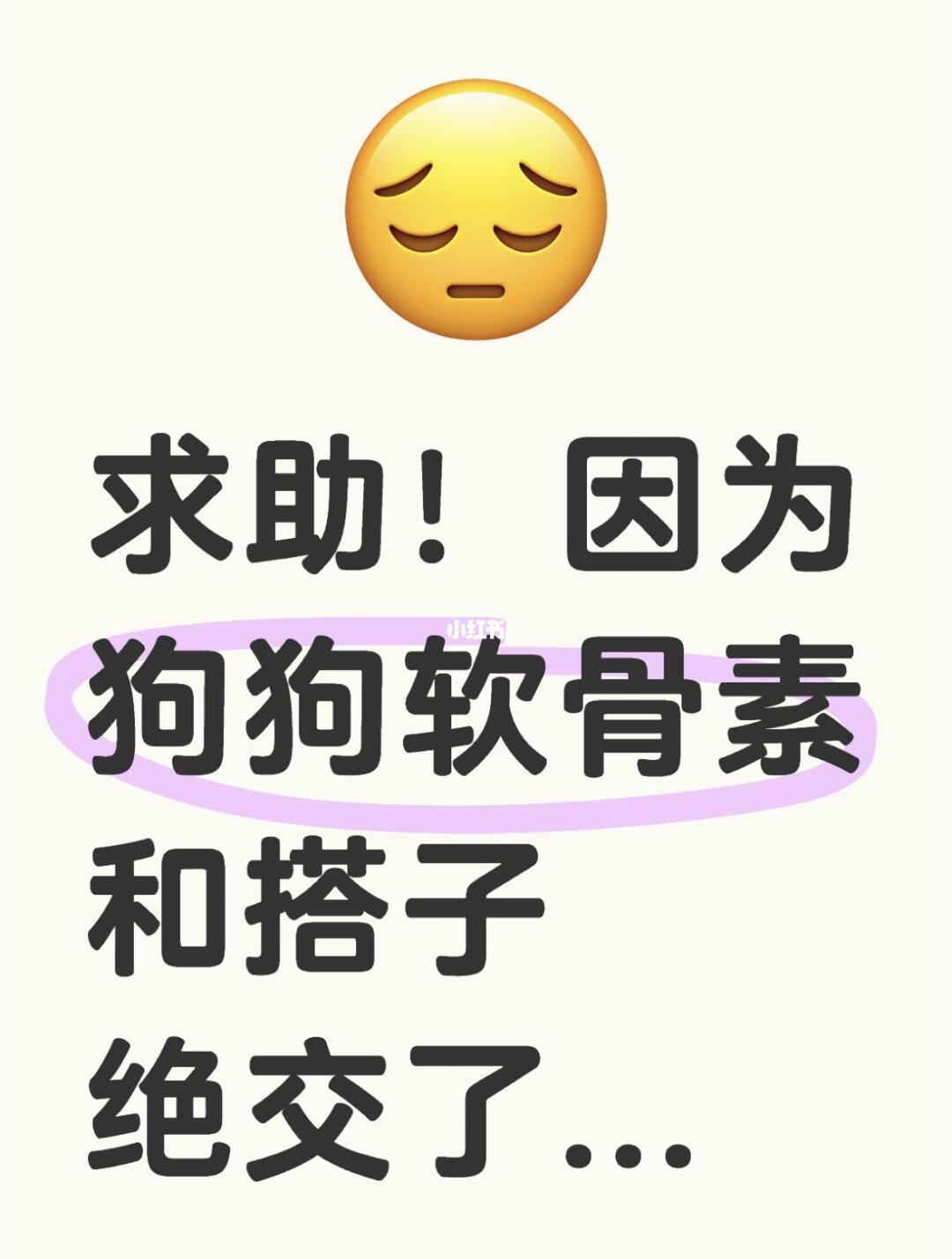 求助！因为狗狗软骨素和搭子绝交了...