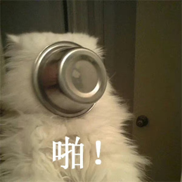 光发不互动10条视频我都懒得发
