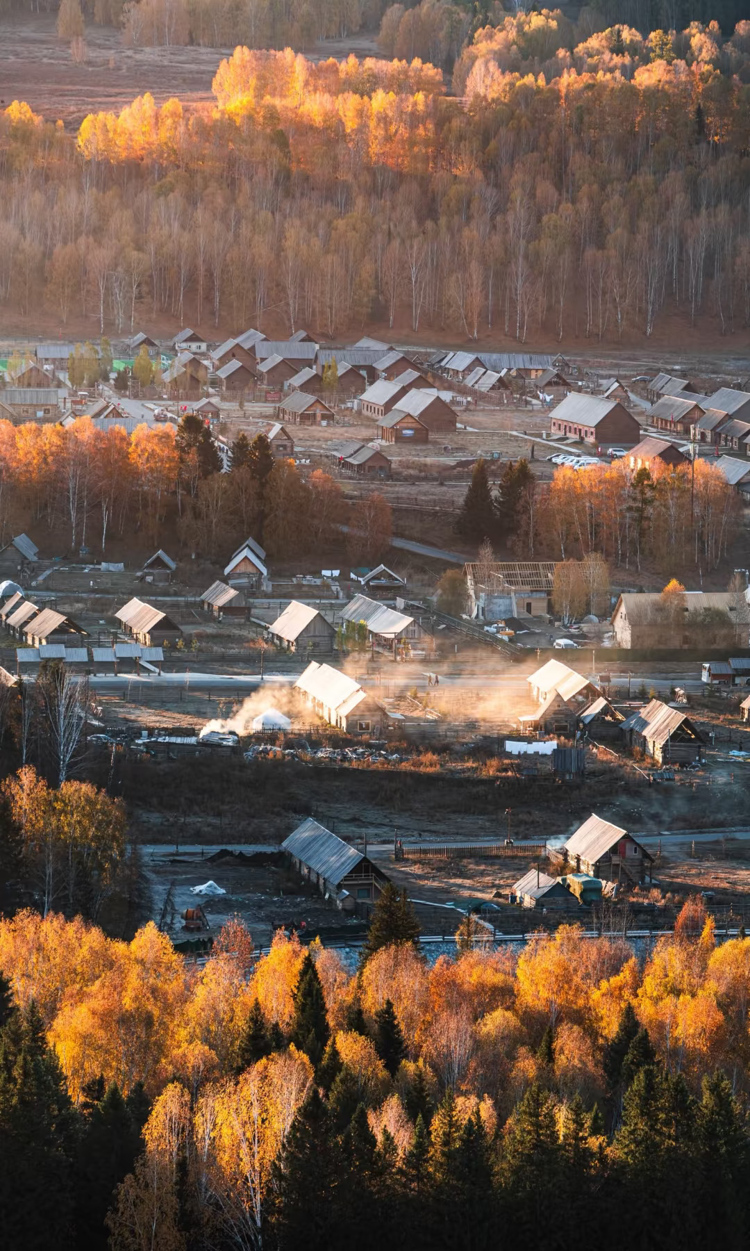 可惜你不来新疆，不知秋天满屏金黄有多震撼！