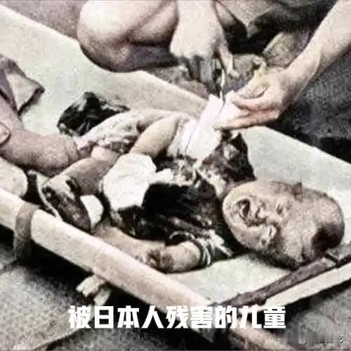 别让先辈用血泪换来的善良，和平，让这些虐猫虐狗败类糟蹋

我们曾在民族苦难里刻下