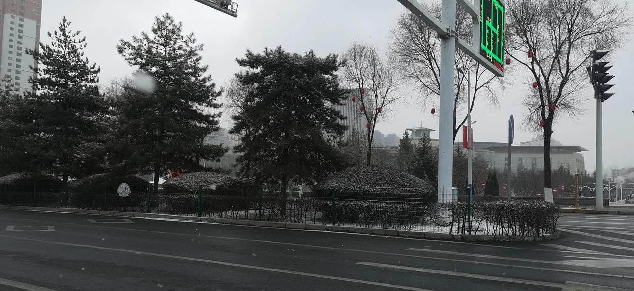 西宁下了一晚上的雨夹雪，空气清新至极。早晨的西宁银装素裹，日头忽隐忽现，鹅毛大雪