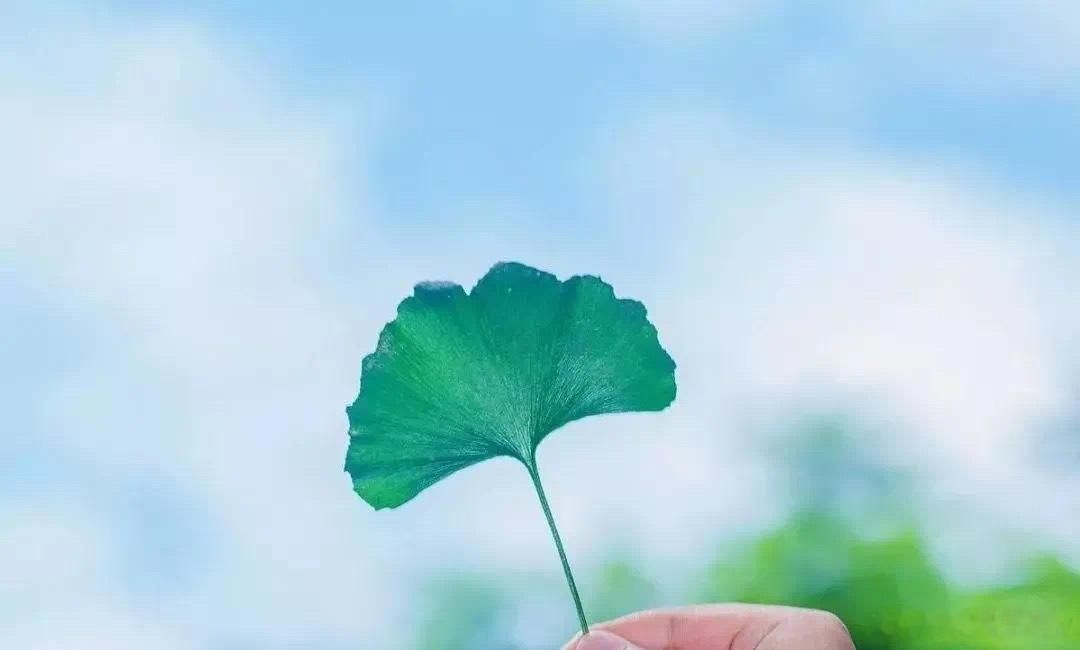 三危入世，修心安身·默斋主人原创古风哲思随笔家贫而妻美，犹如怀璧独行暗巷。好色之
