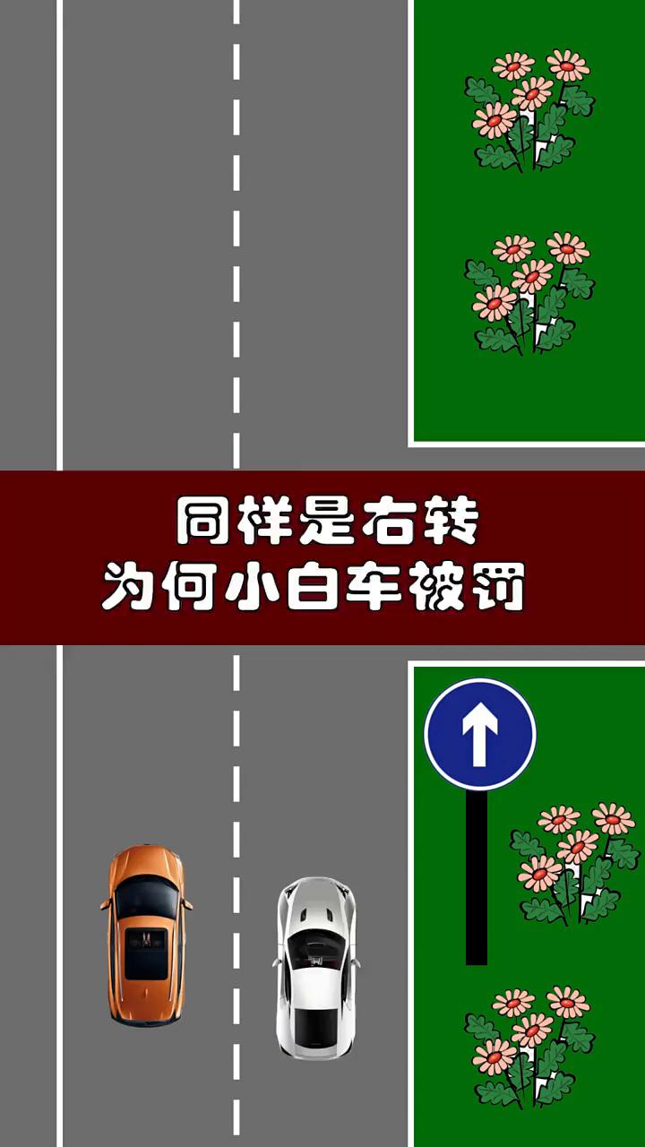 同样是右转，为何小白车被罚？
只准直行，扣3分，罚200。单行道标志。