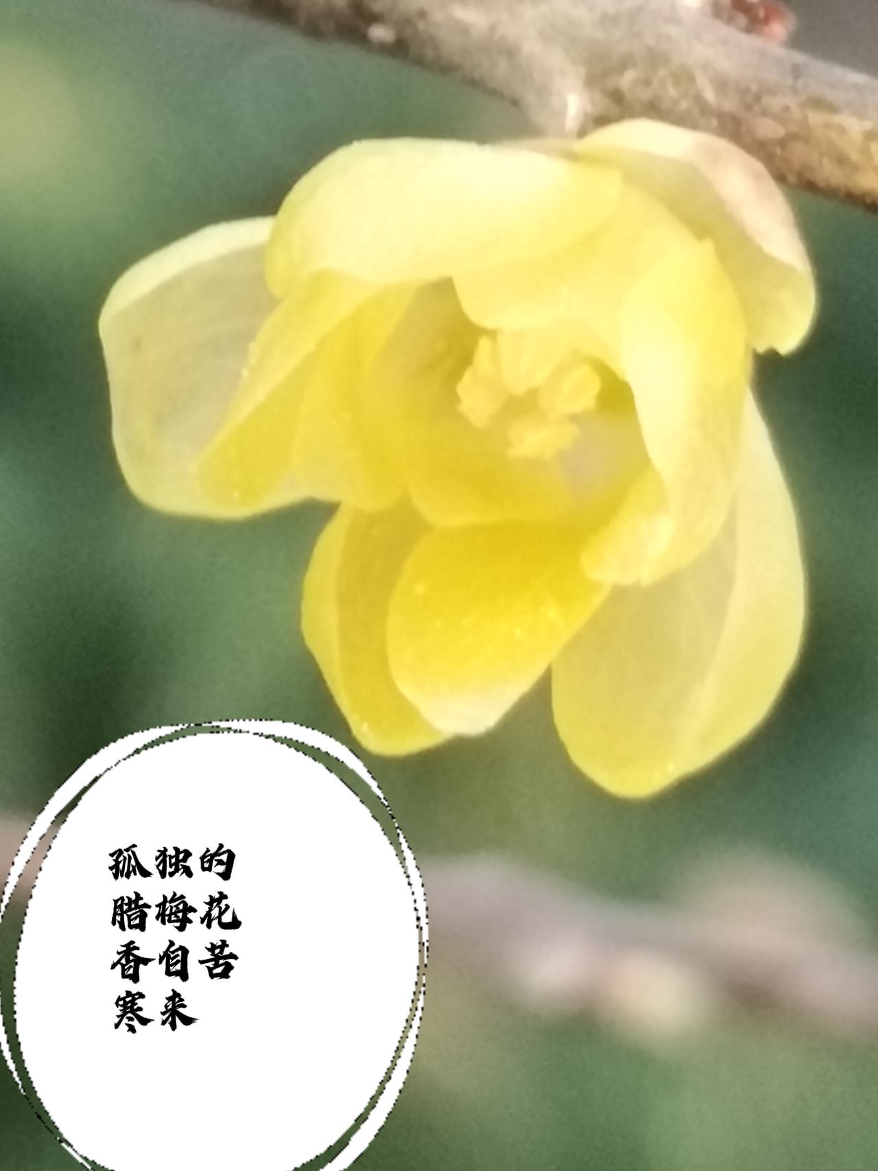 随手拍下的风景照