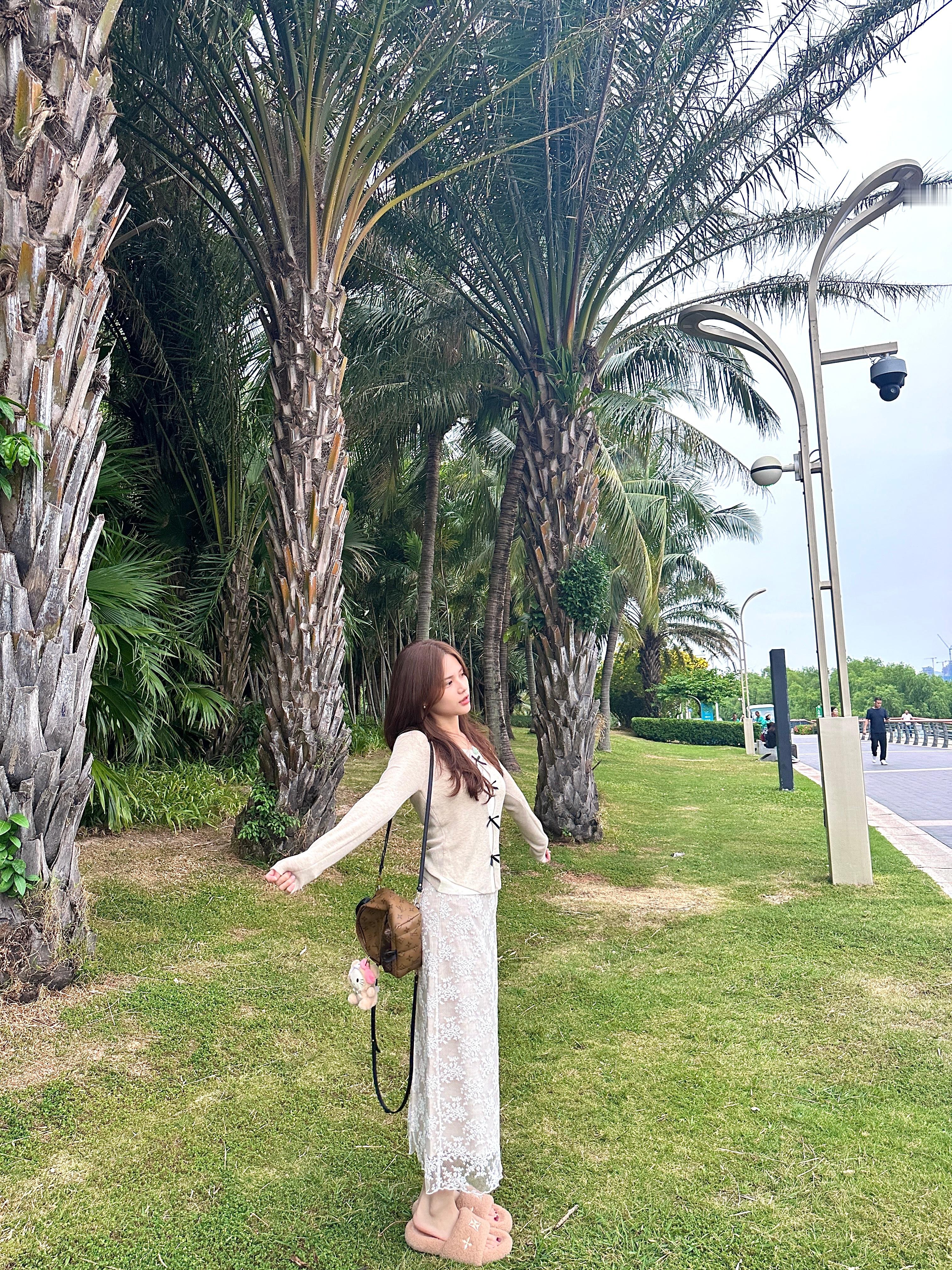 能发个呆真舒服早安[超话]  ​​​