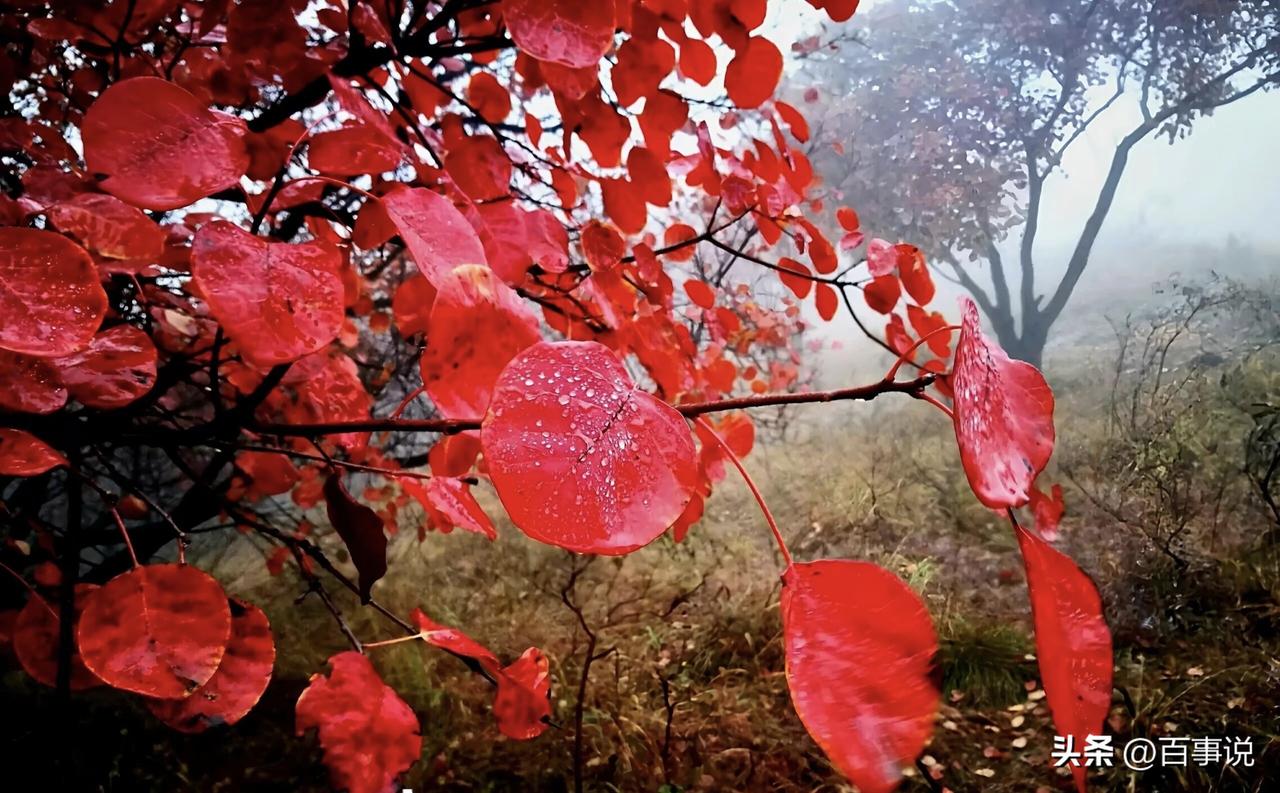 一定要少说话，少说话，少说话。
1、管好自己的嘴，不该说的不说，不议论他人是非，