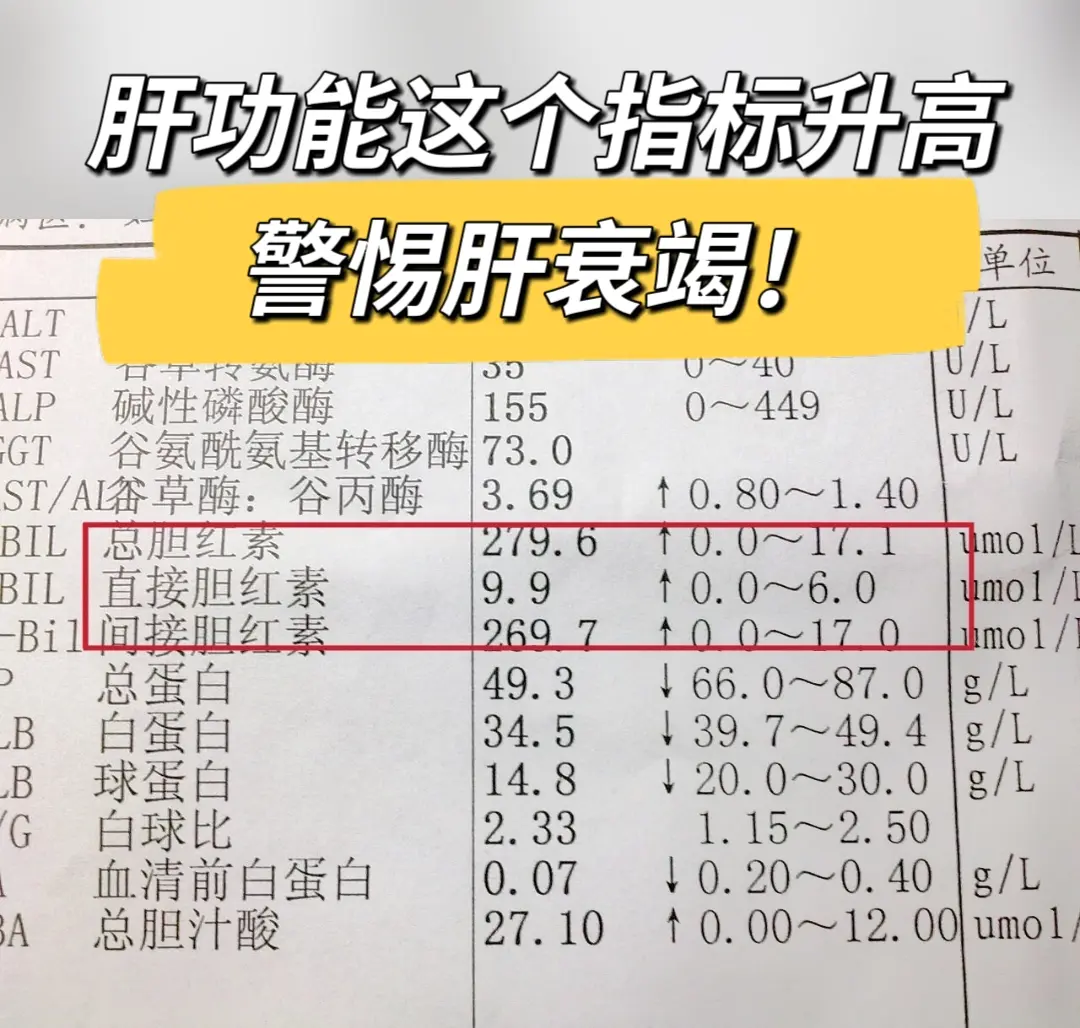 肝功能这个指标升高，必须重视！我每次讲到肝功能，胆红素是说的最多的，主...