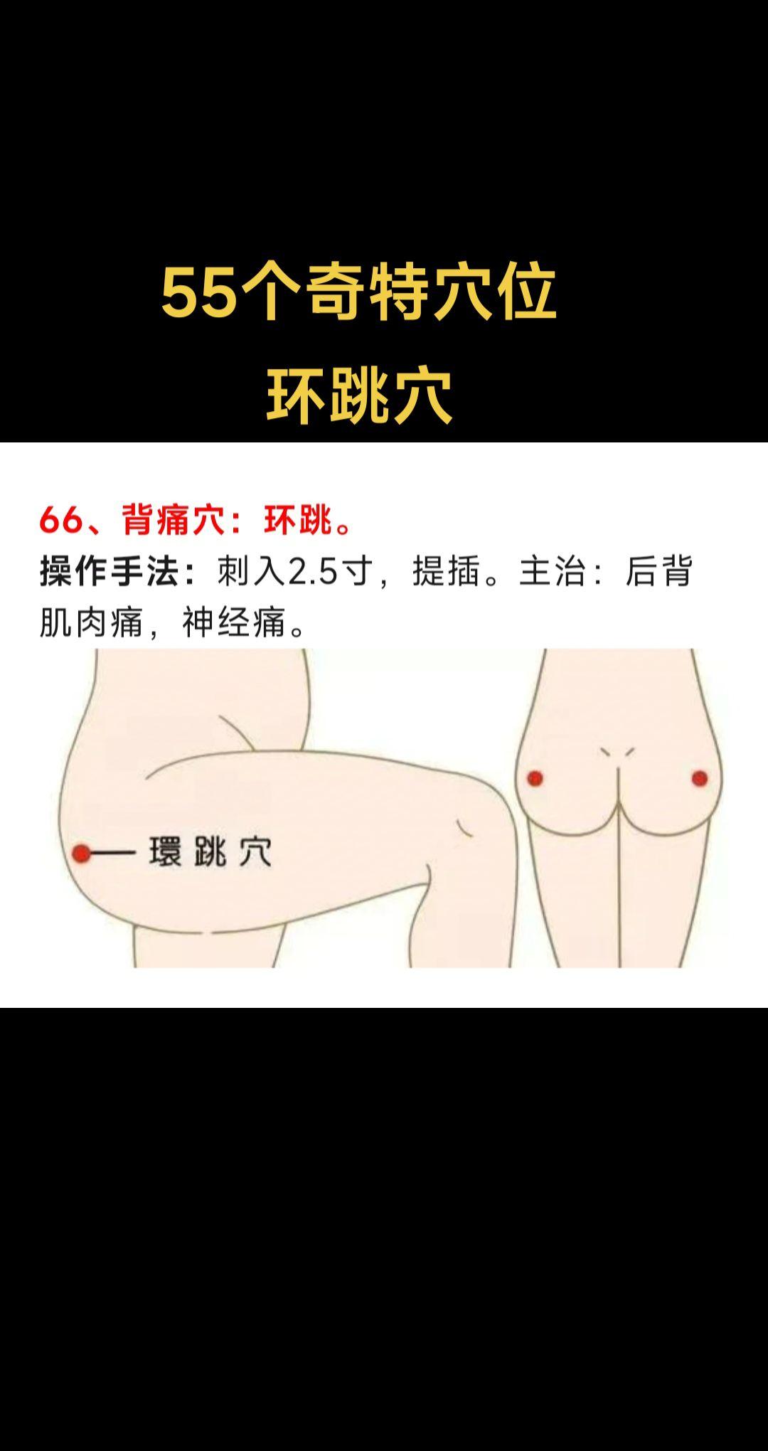 关注我每天坚持分享知识 穴位 养生知识 你的健康就是我的快乐