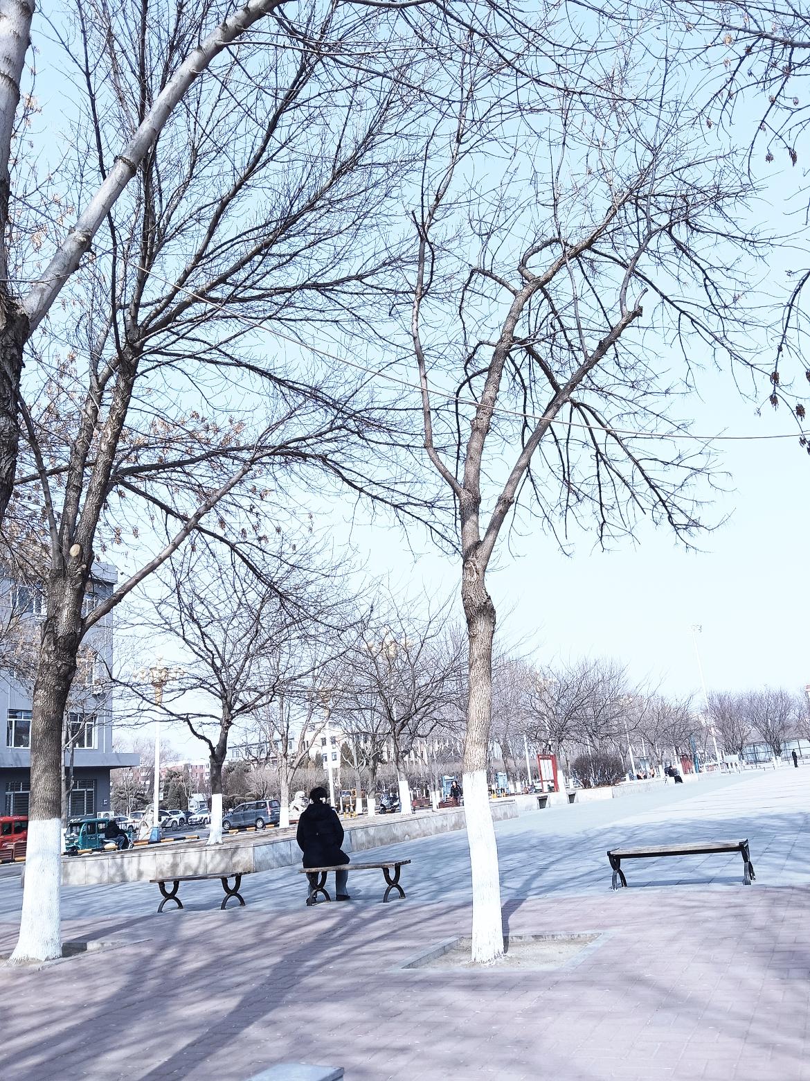 冬日暖阳下，独自一人静坐长椅，享受片刻宁静。