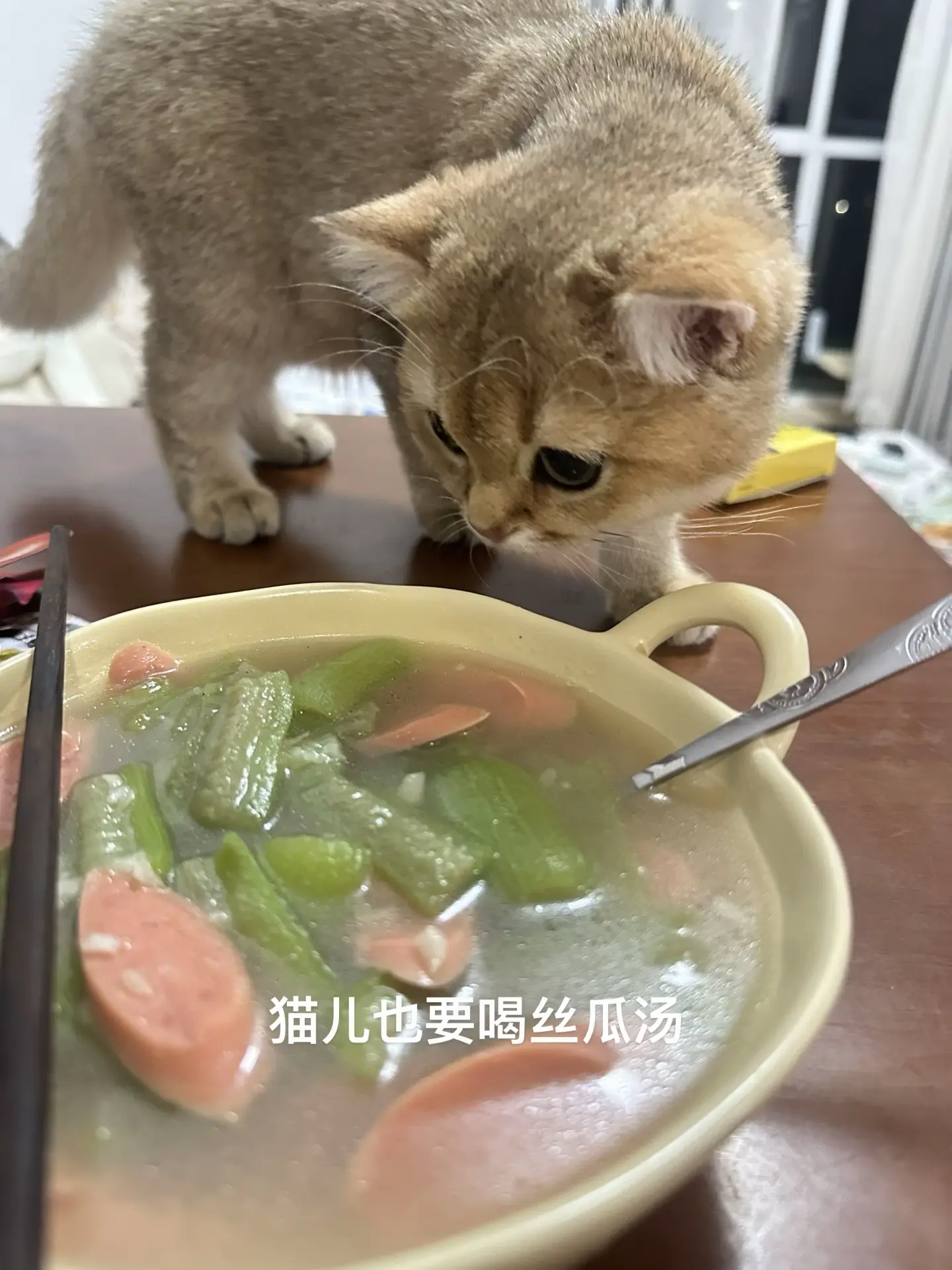 丝瓜汤～～