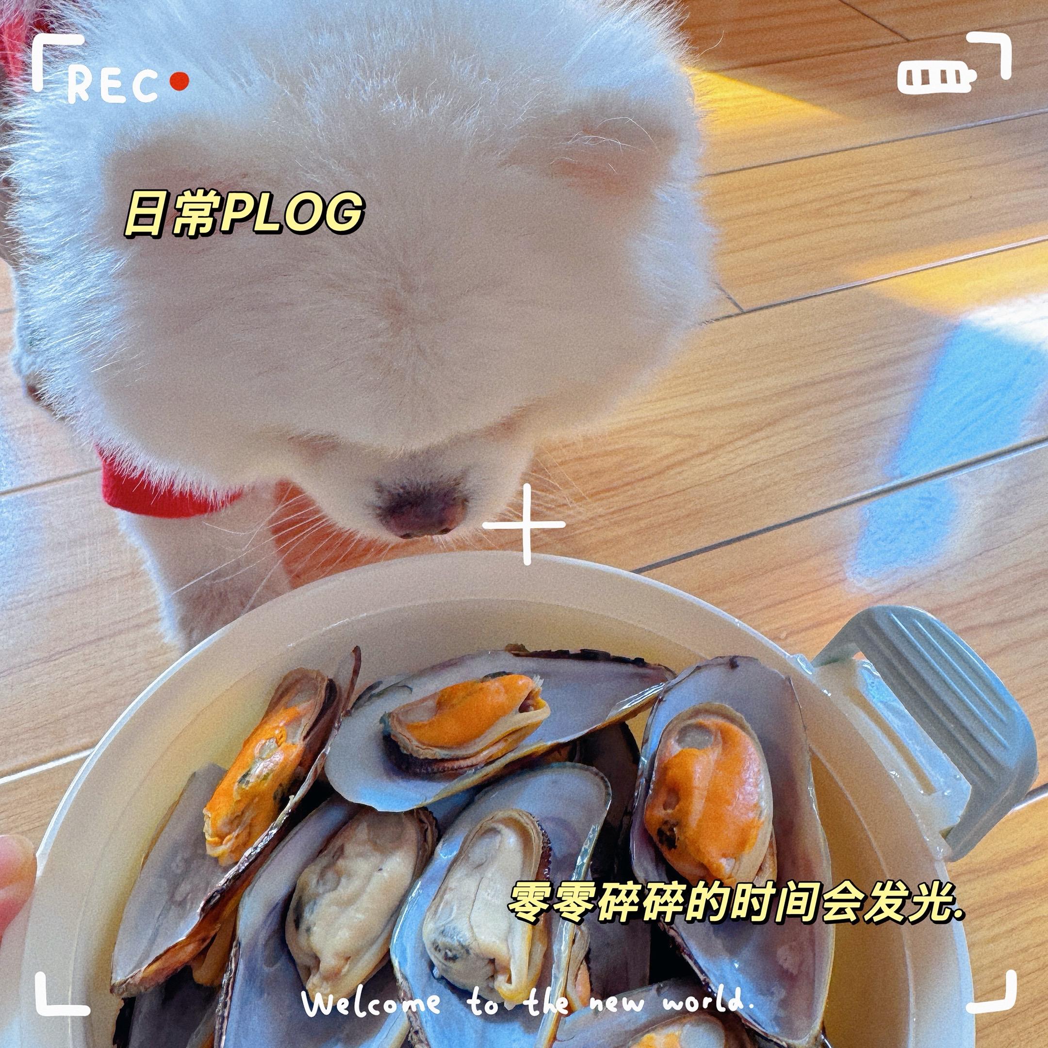 又到了给宝宝烤青口贝的时间啦⏰