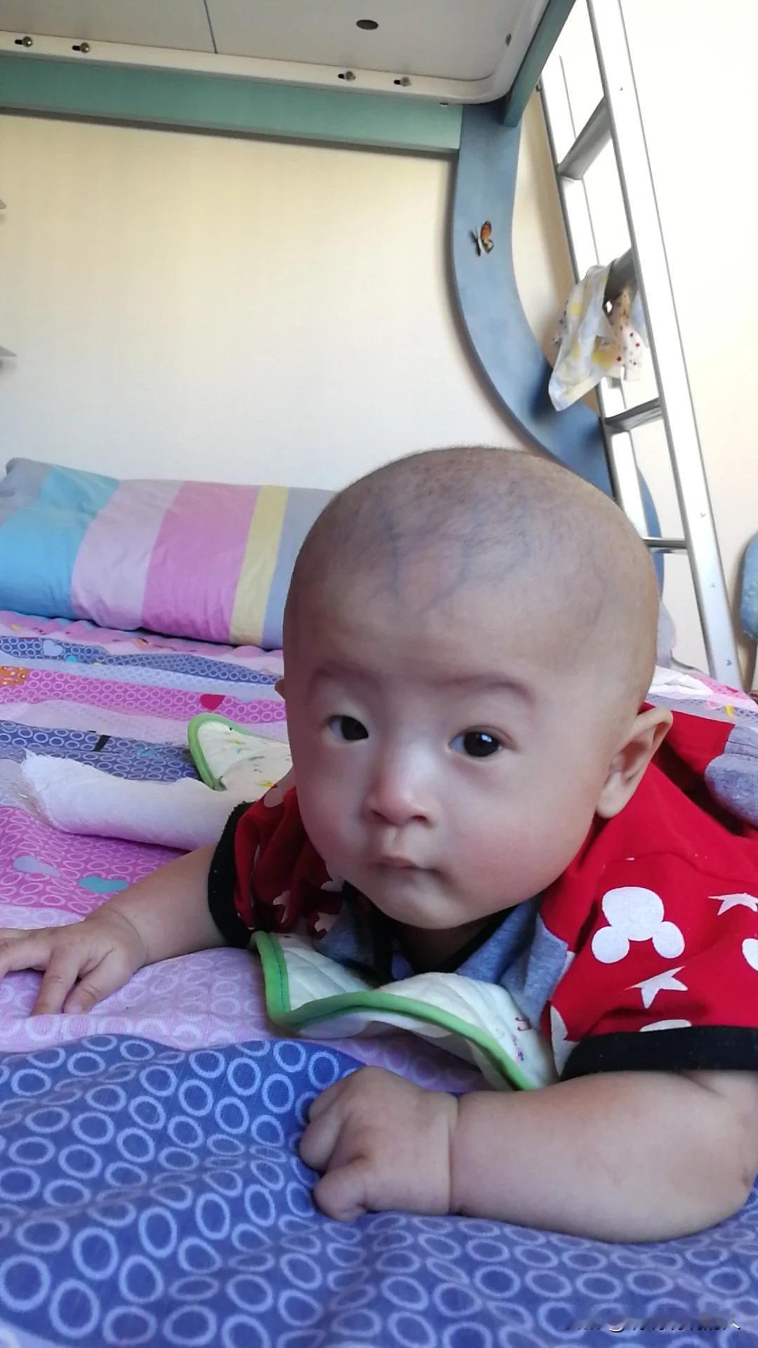 元宝这个角度看起来，很可爱啊！
自己的孩子自己看，总是最可爱的！
可怜天下父母心